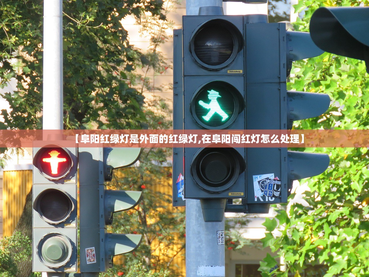 【阜阳红绿灯是外面的红绿灯,在阜阳闯红灯怎么处理】