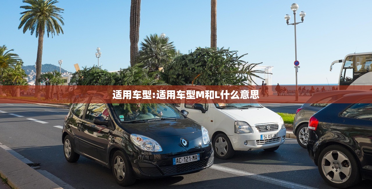 适用车型:适用车型M和L什么意思