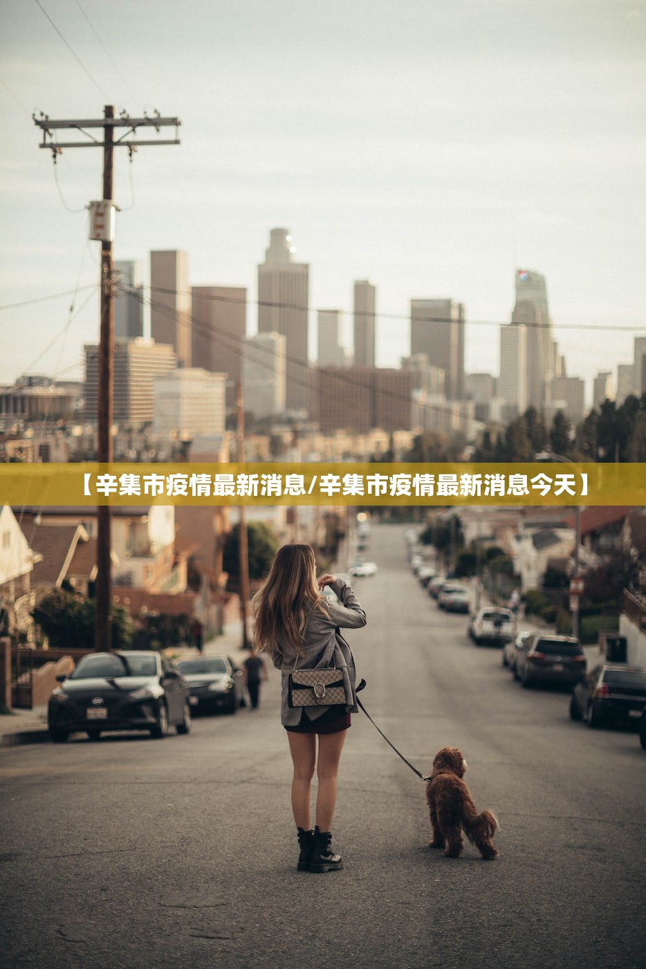【辛集市疫情最新消息/辛集市疫情最新消息今天】