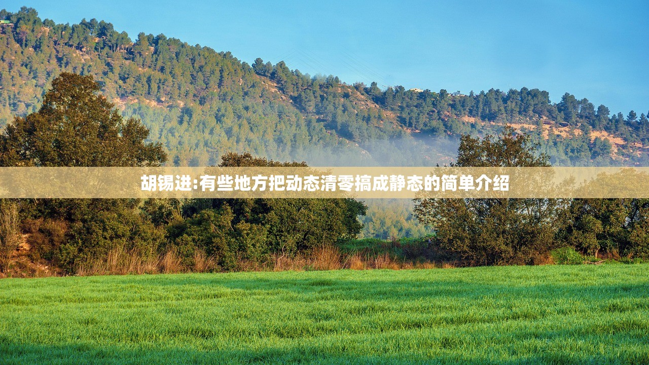 胡锡进:有些地方把动态清零搞成静态的简单介绍