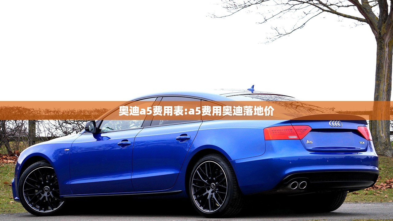奥迪a5费用表:a5费用奥迪落地价