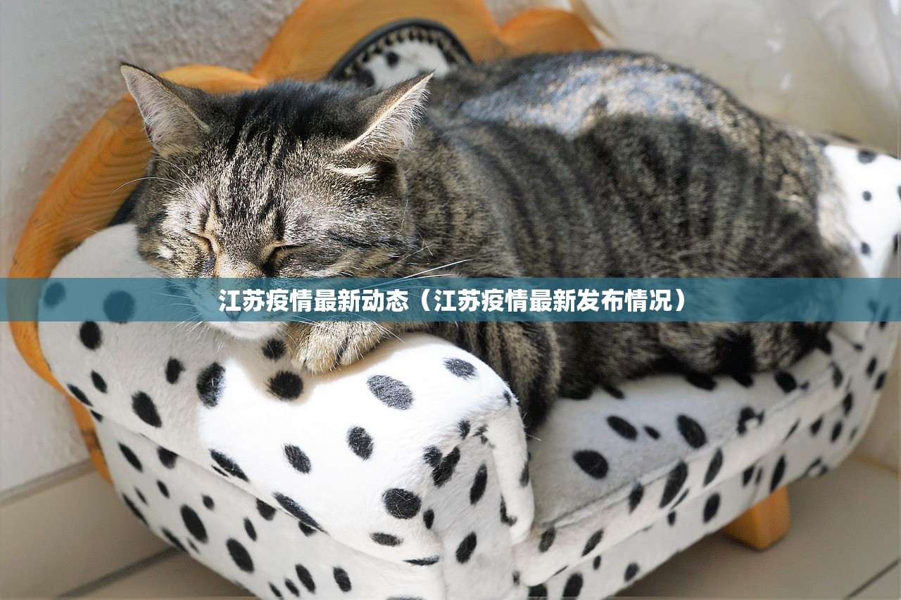 江苏疫情最新动态（江苏疫情最新发布情况）