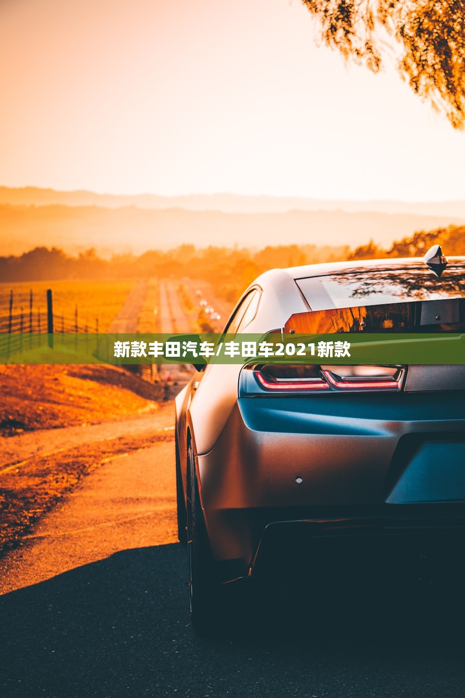 新款丰田汽车/丰田车2021新款