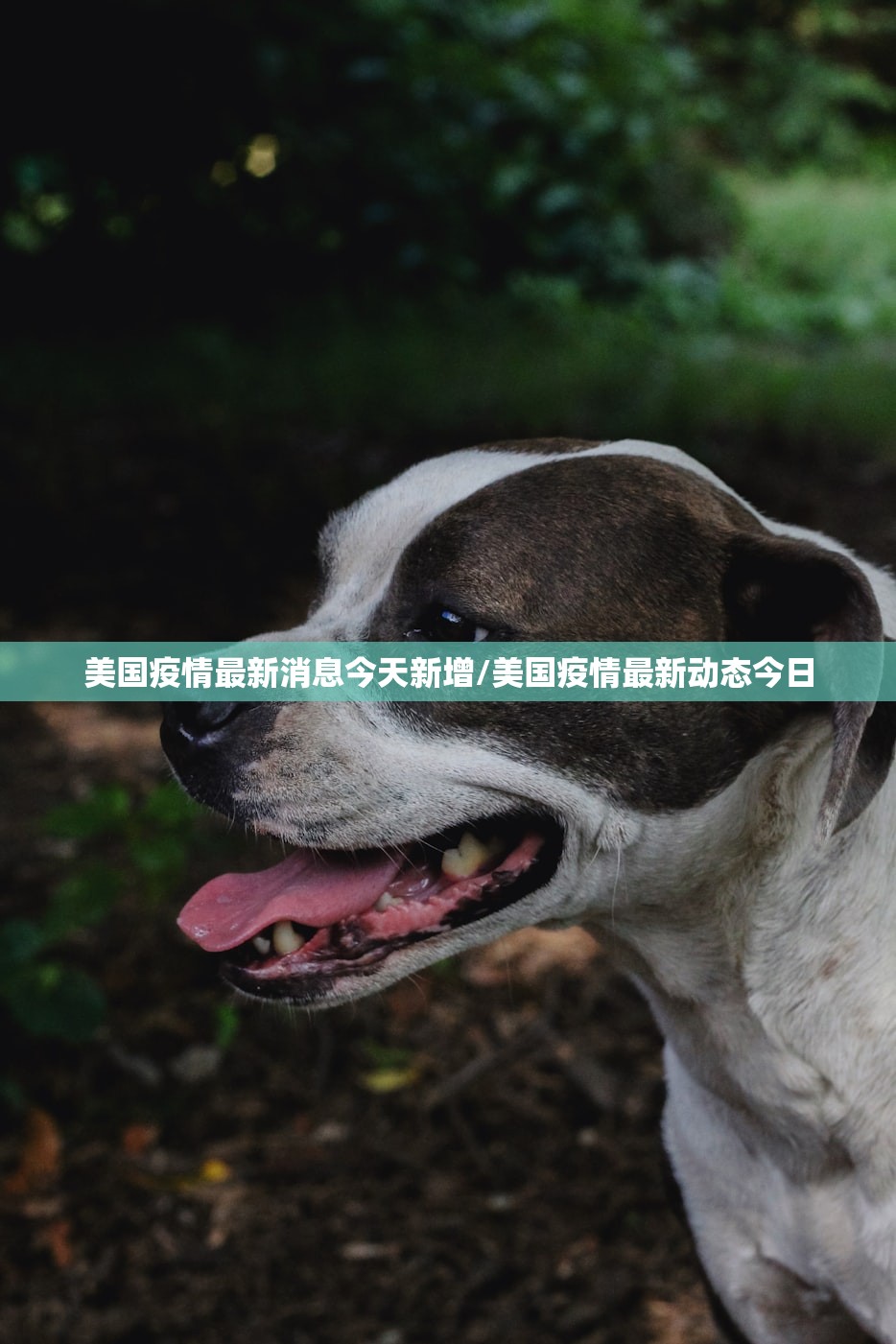 【北京一快递核检阳性/北京疫情快递员确诊】