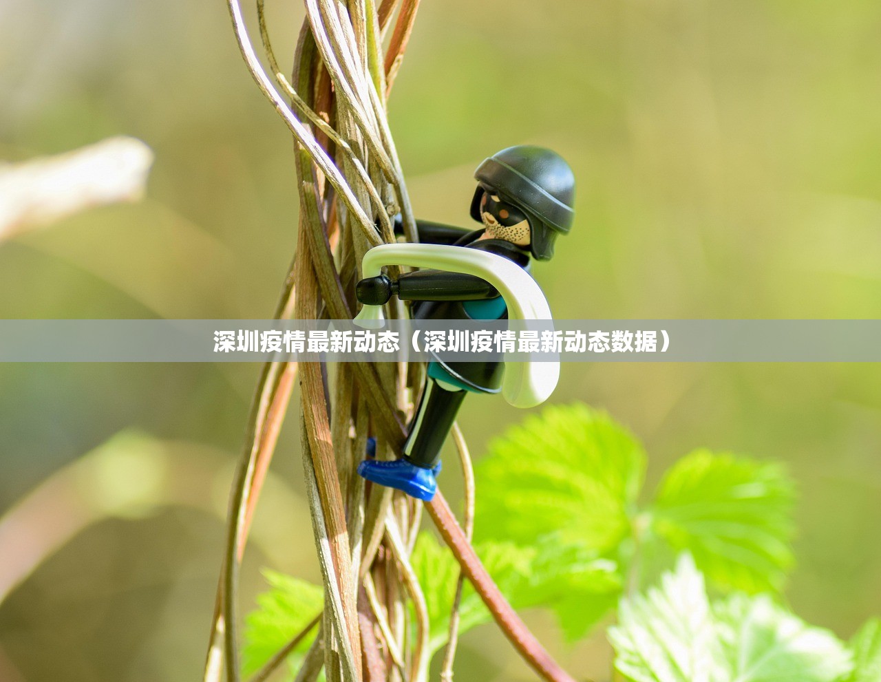 深圳疫情最新动态（深圳疫情最新动态数据）
