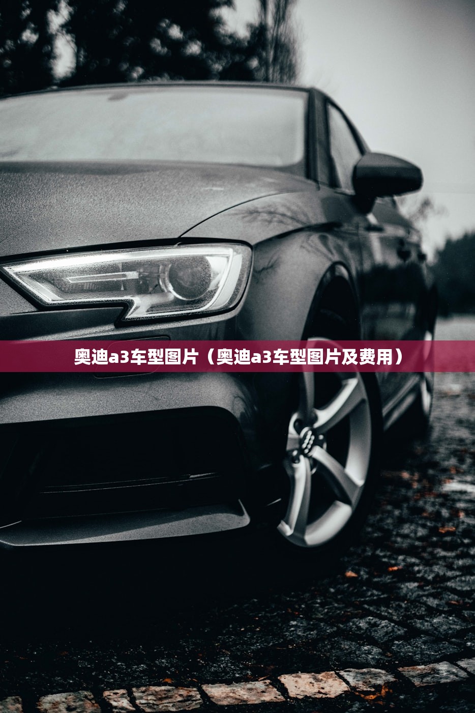 奥迪a3车型图片（奥迪a3车型图片及费用）