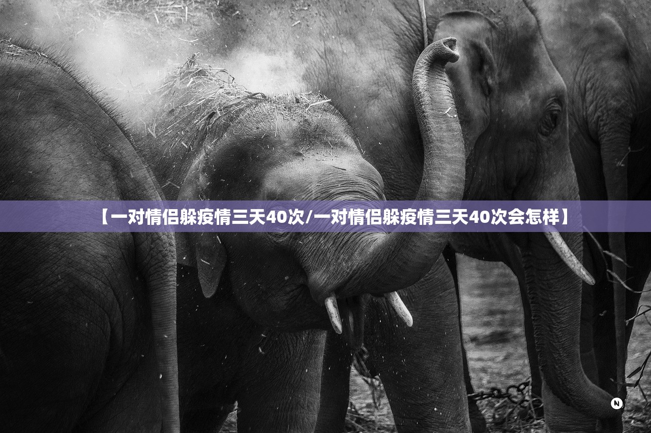 【一对情侣躲疫情三天40次/一对情侣躲疫情三天40次会怎样】