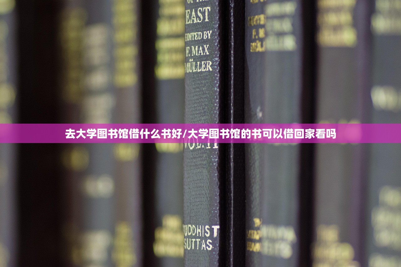 去大学图书馆借什么书好/大学图书馆的书可以借回家看吗