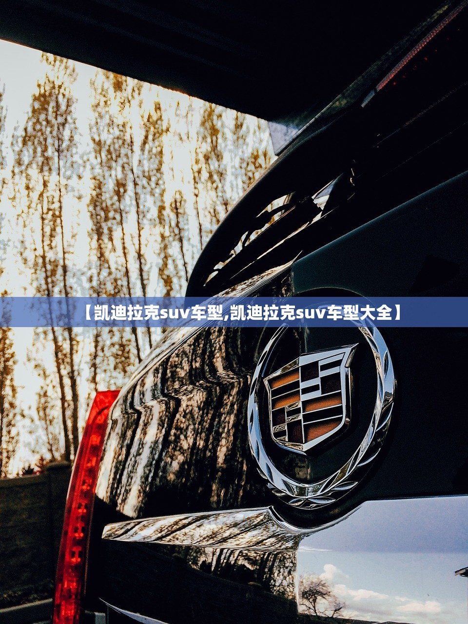 【凯迪拉克suv车型,凯迪拉克suv车型大全】