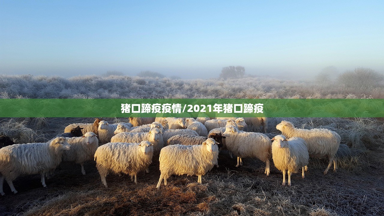 猪口蹄疫疫情/2021年猪口蹄疫