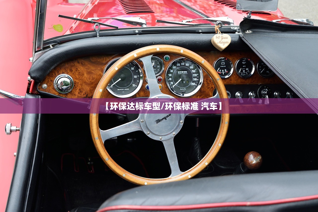【环保达标车型/环保标准 汽车】