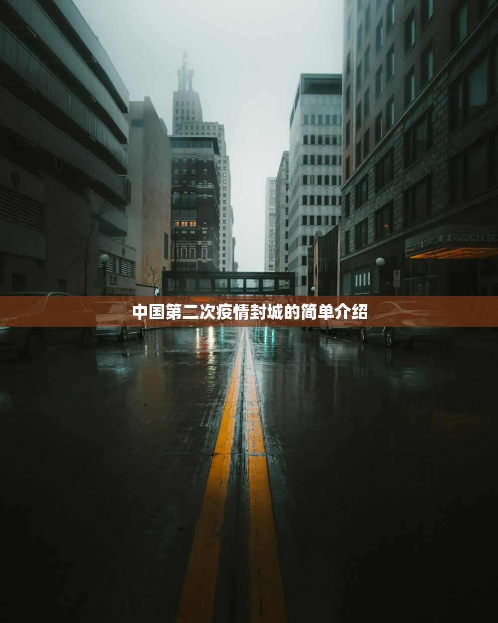 中国第二次疫情封城的简单介绍
