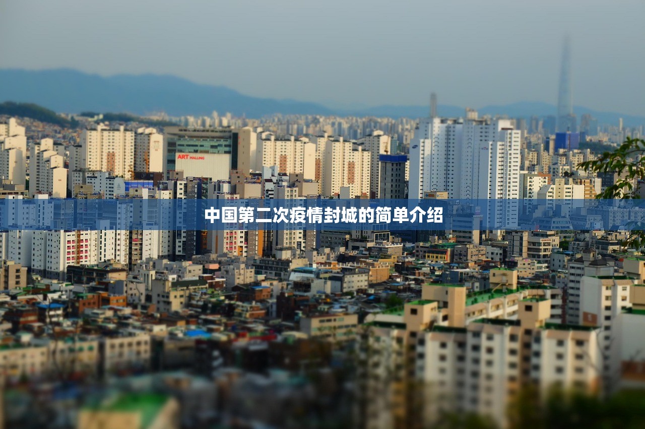 中国第二次疫情封城的简单介绍