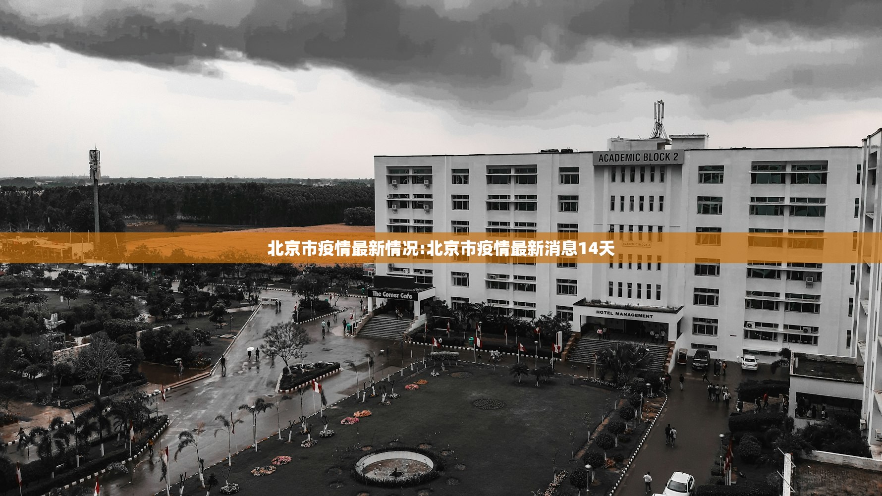 北京市疫情最新情况:北京市疫情最新消息14天