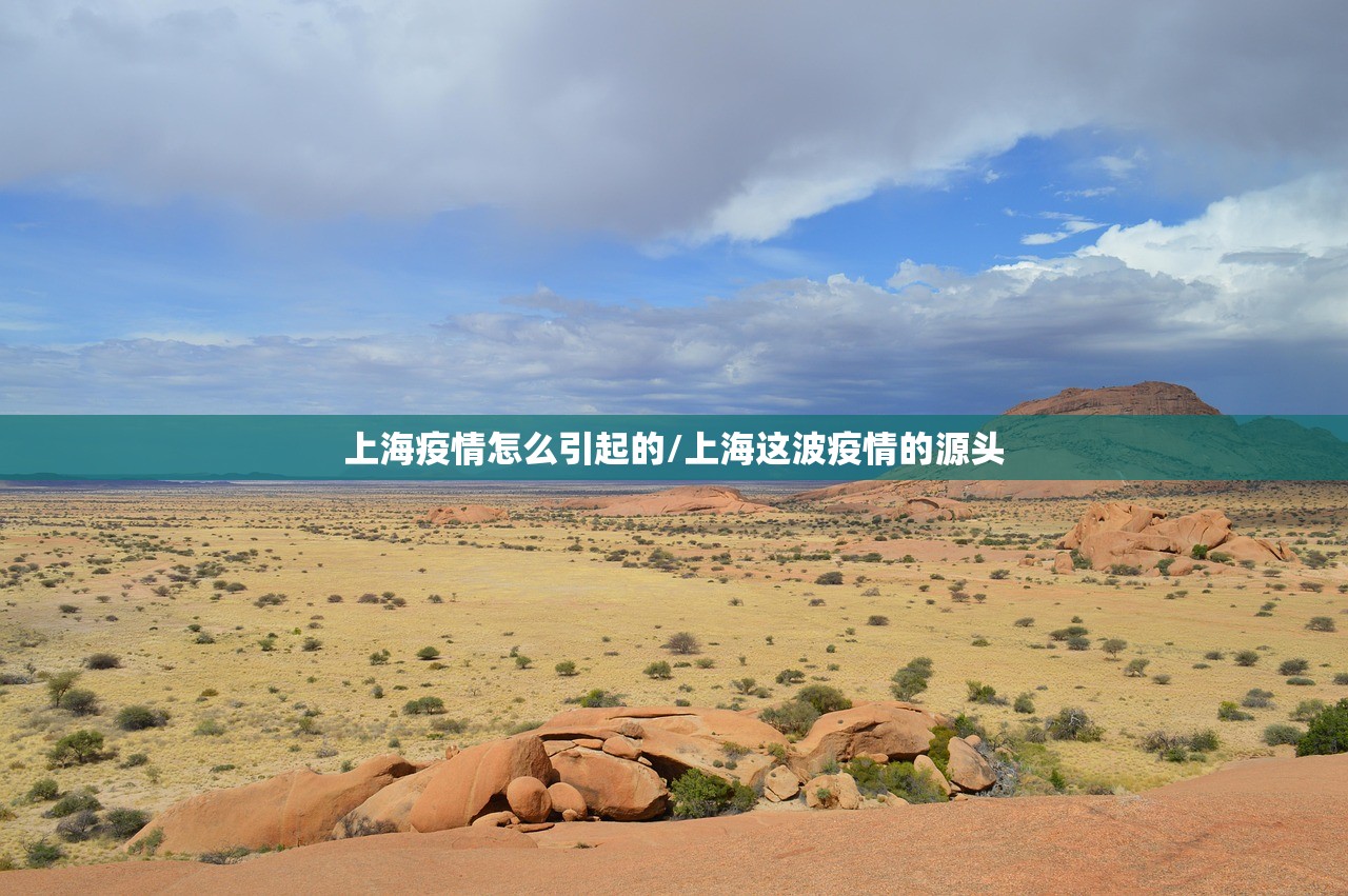 31省份新增2例本土无症状感染者（31省区市新增本土无症状104例）
