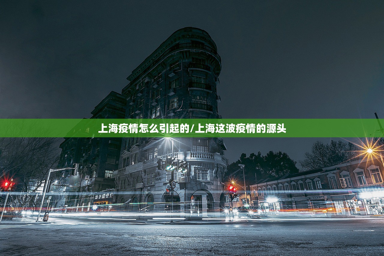上海疫情怎么引起的/上海这波疫情的源头