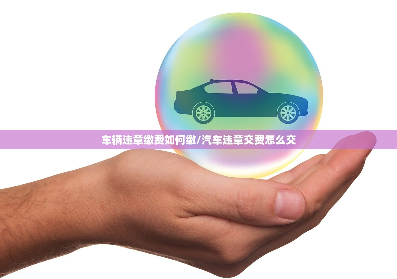 车辆违章缴费如何缴/汽车违章交费怎么交