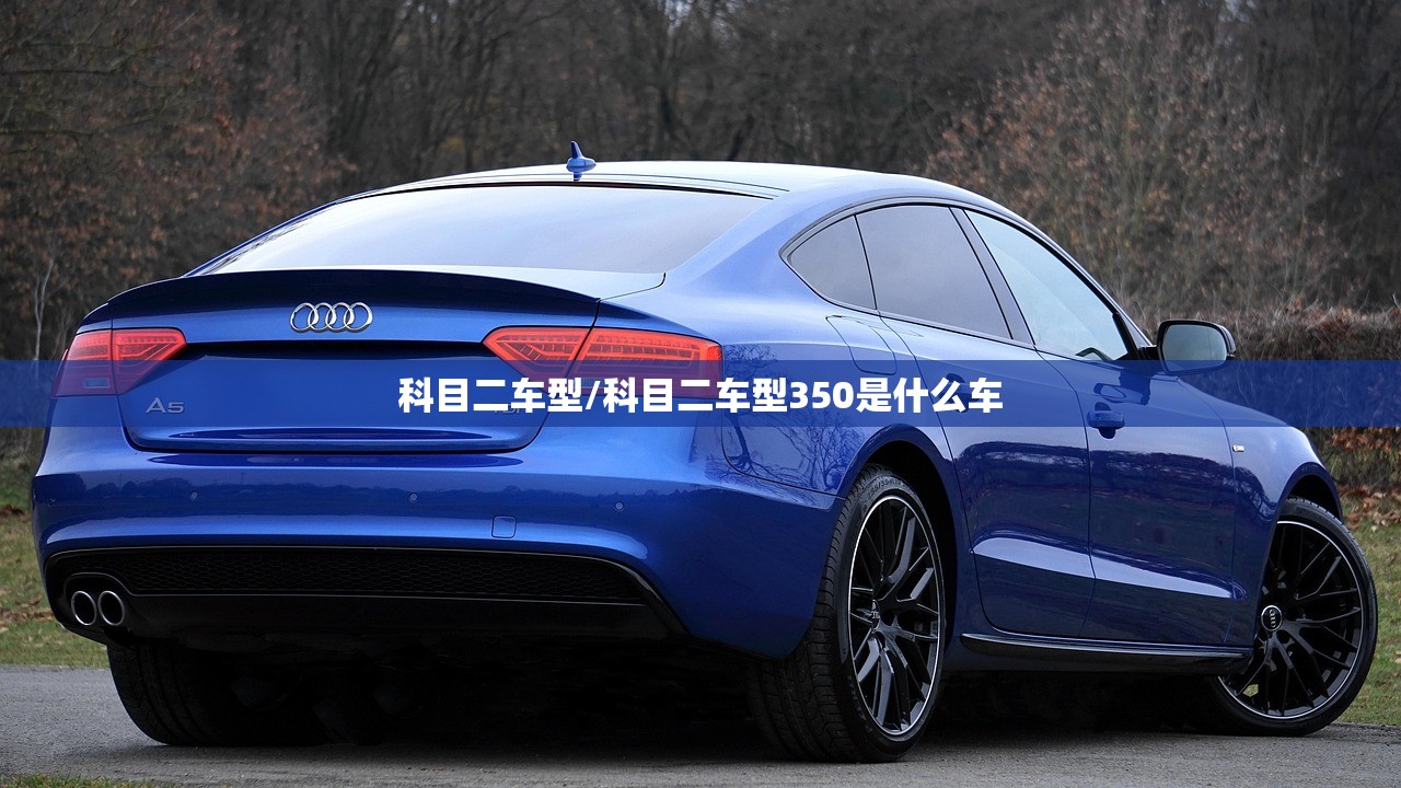 科目二车型/科目二车型350是什么车