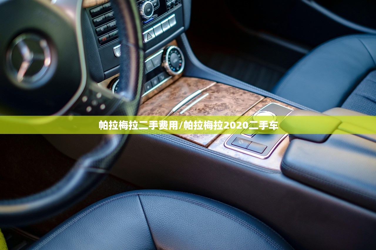 帕拉梅拉二手费用/帕拉梅拉2020二手车
