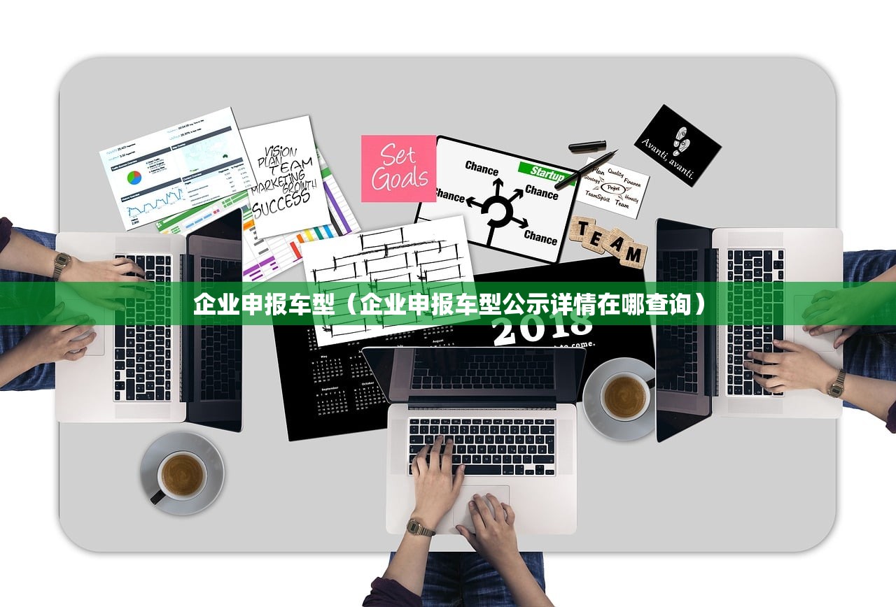 企业申报车型（企业申报车型公示详情在哪查询）