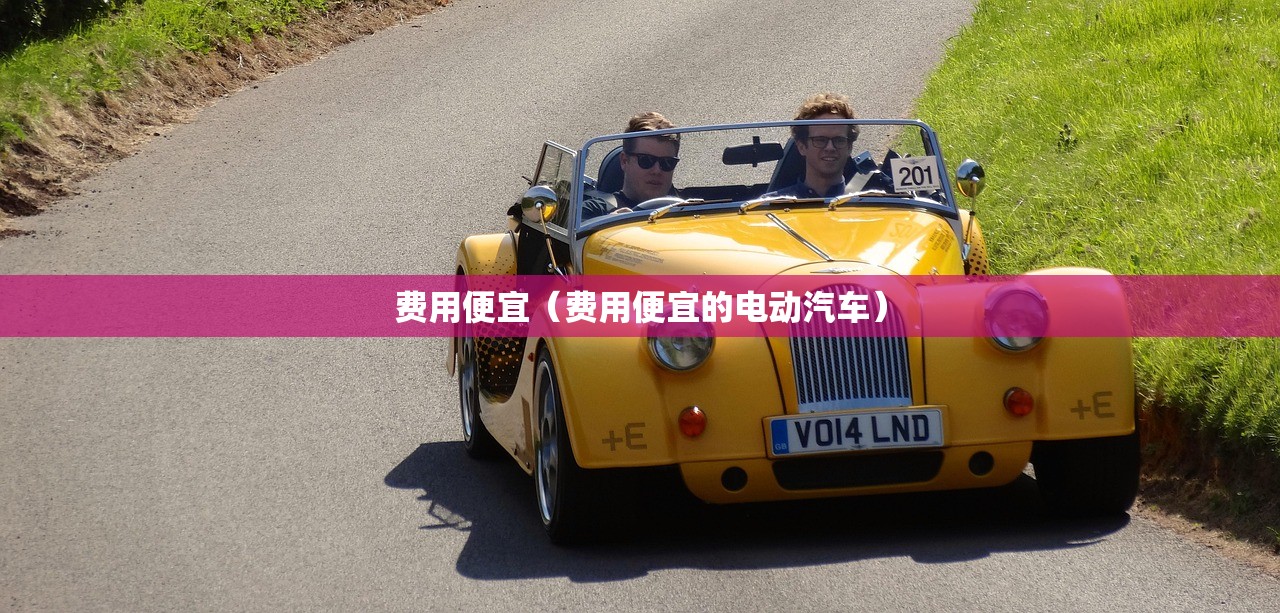 费用便宜（费用便宜的电动汽车）