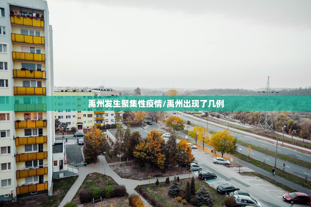 禹州发生聚集性疫情/禹州出现了几例