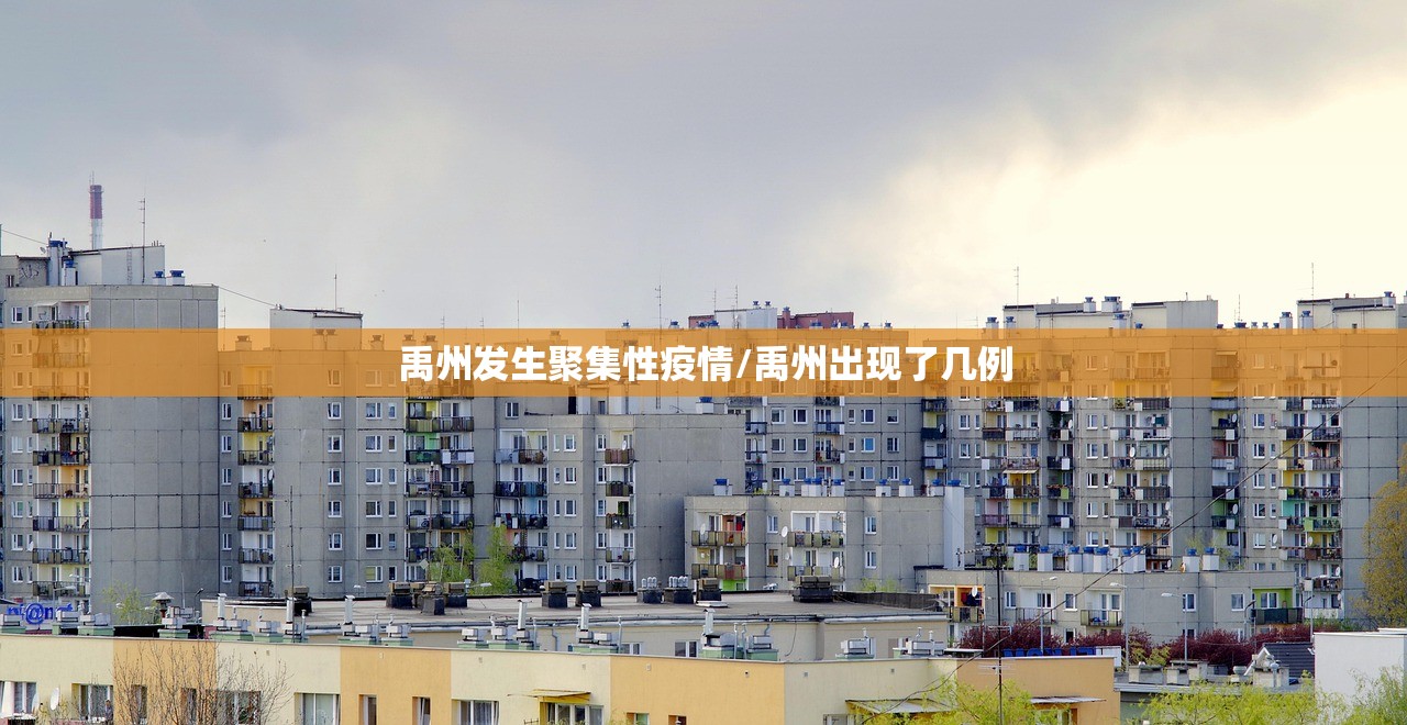 禹州发生聚集性疫情/禹州出现了几例