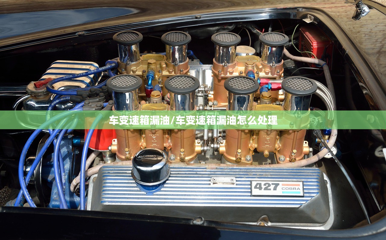 车变速箱漏油/车变速箱漏油怎么处理