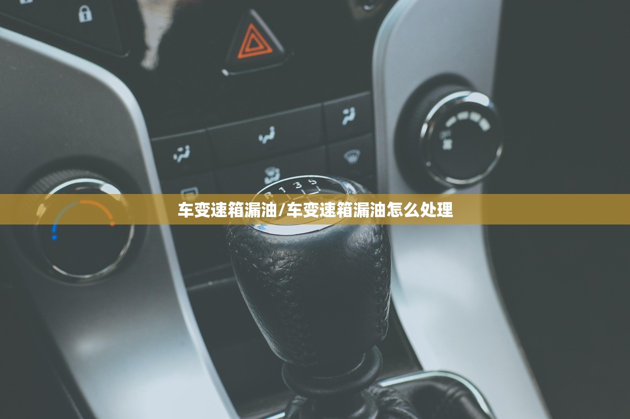 车变速箱漏油/车变速箱漏油怎么处理
