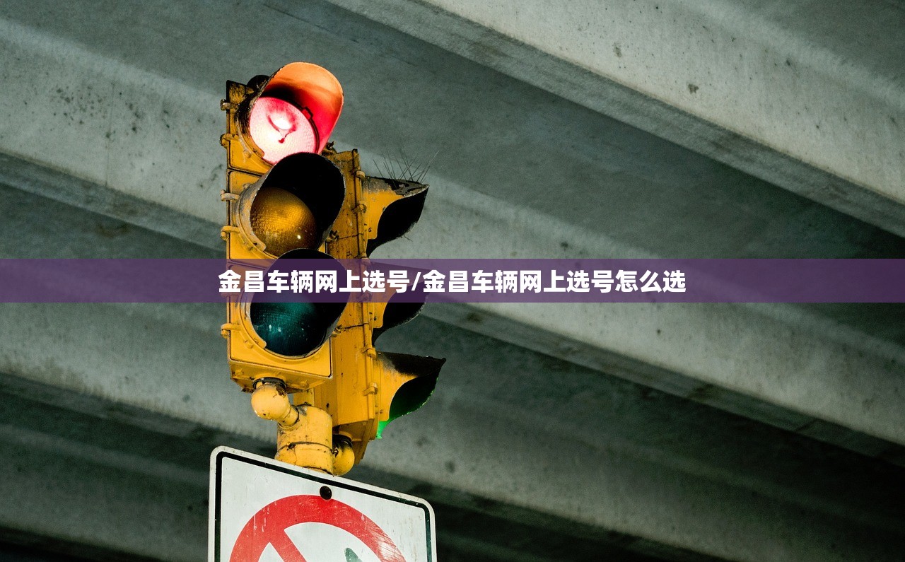 金昌车辆网上选号/金昌车辆网上选号怎么选
