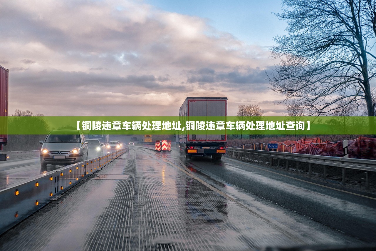 【铜陵违章车辆处理地址,铜陵违章车辆处理地址查询】