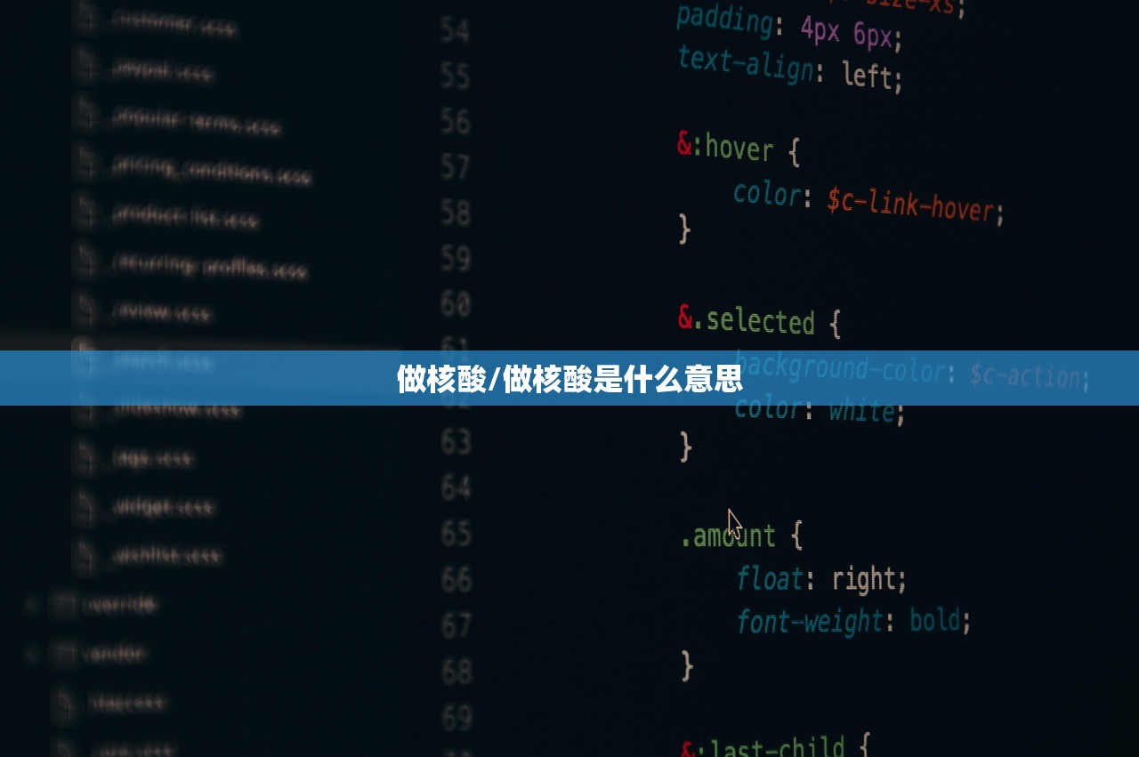 做核酸/做核酸是什么意思