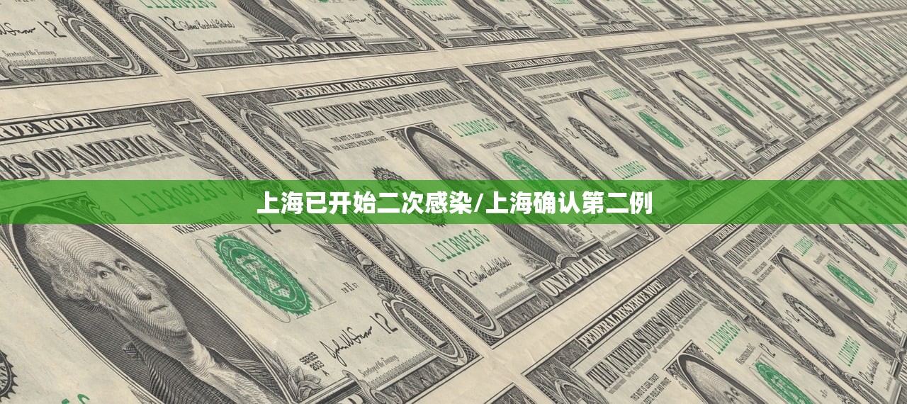 上海已开始二次感染/上海确认第二例