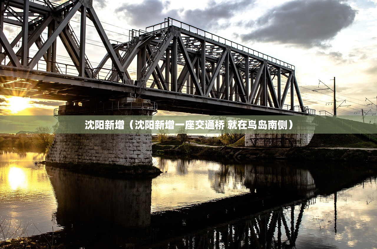 沈阳新增(沈阳新增一座交通桥 就在鸟岛南侧) 沈阳新增(沈阳新增一座交通桥 就在鸟岛南侧)
