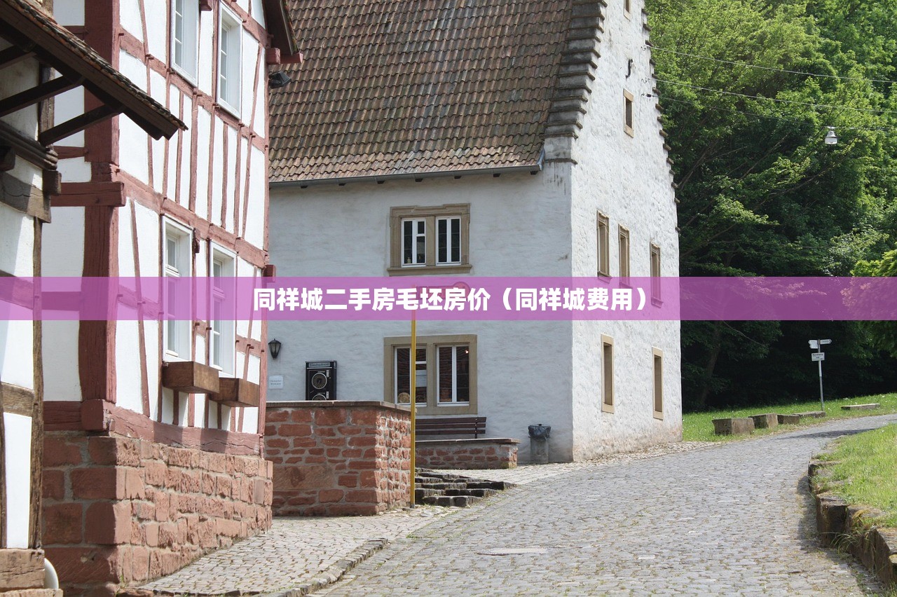 同祥城二手房毛坯房价（同祥城费用）
