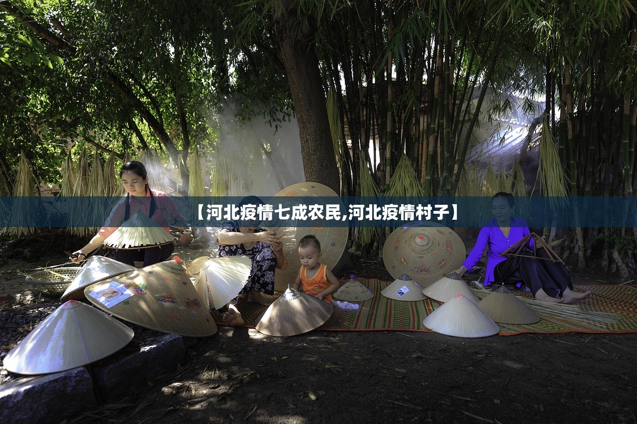 【河北疫情七成农民,河北疫情村子】