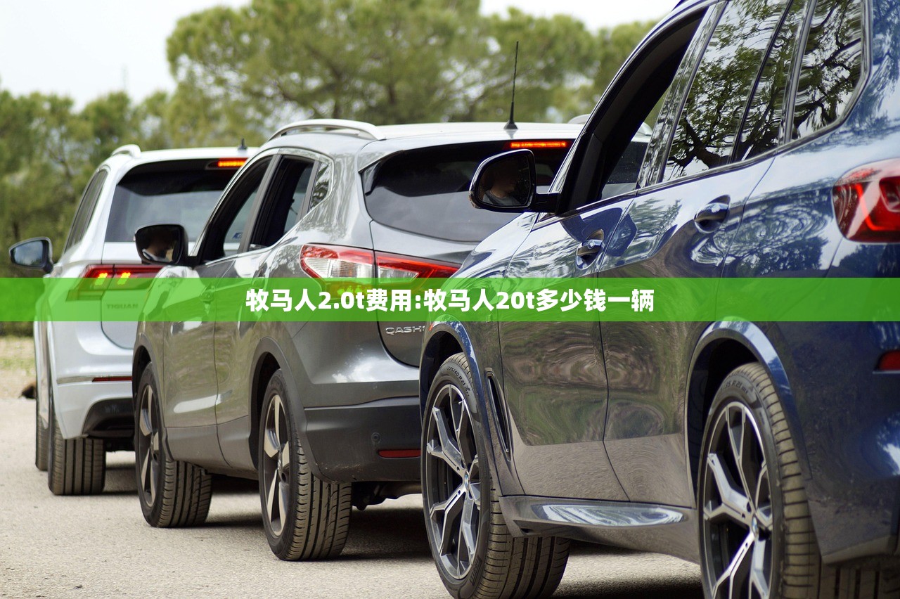 牧马人2.0t费用:牧马人20t多少钱一辆