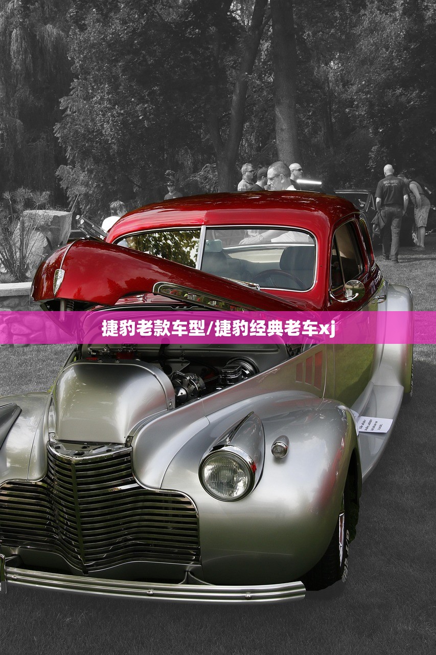 捷豹老款车型/捷豹经典老车xj