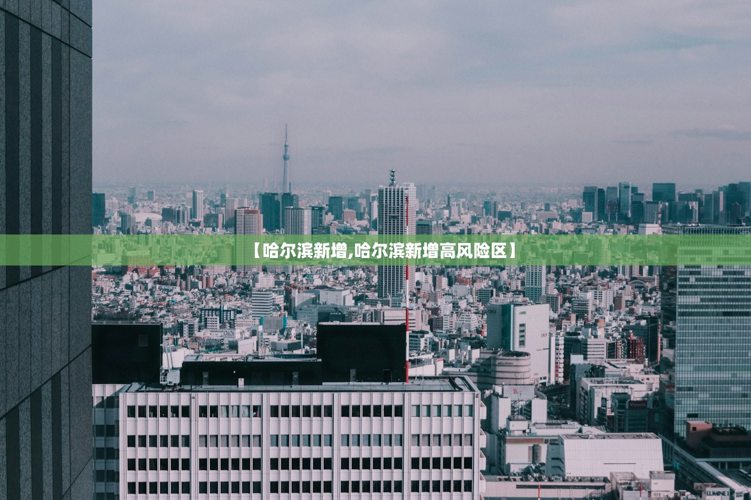 【哈尔滨新增,哈尔滨新增高风险区】 【哈尔滨新增,哈尔滨新增高风险区】