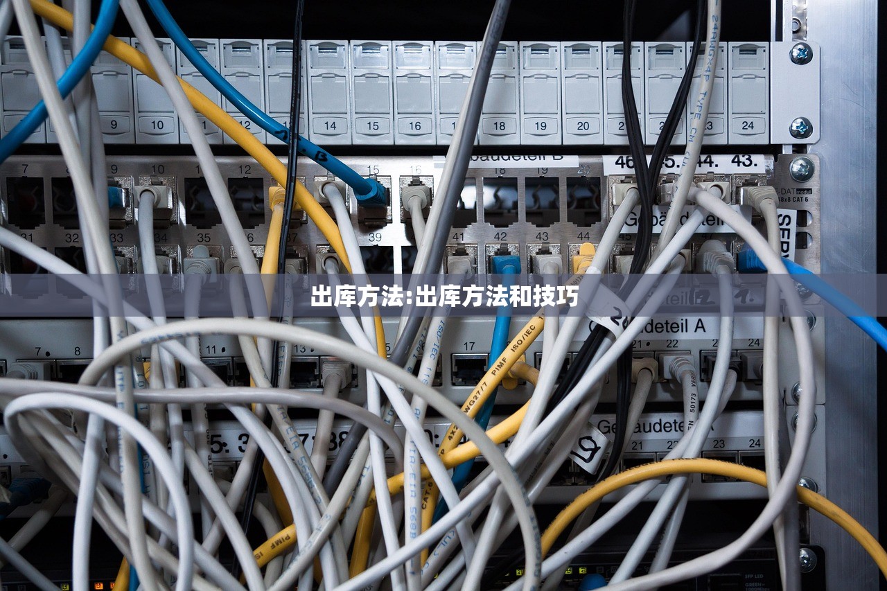 出库方法:出库方法和技巧
