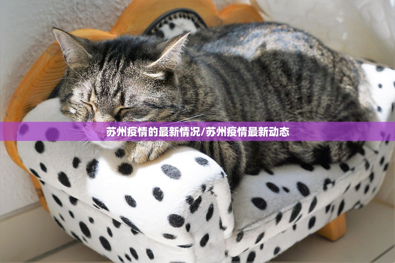苏州疫情的最新情况/苏州疫情最新动态