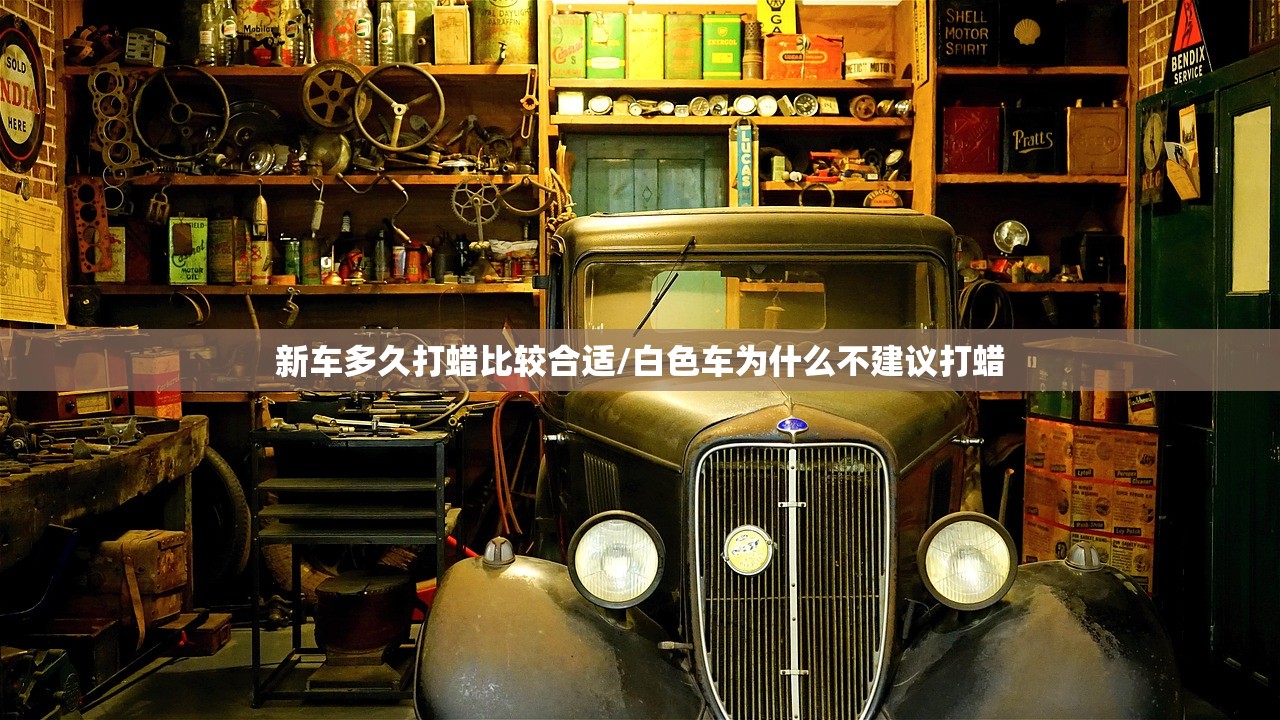 新车多久打蜡比较合适/白色车为什么不建议打蜡