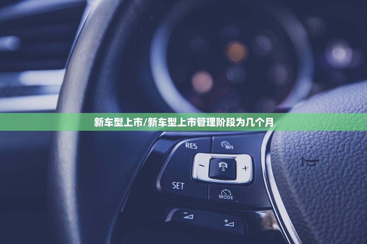新车型上市/新车型上市管理阶段为几个月