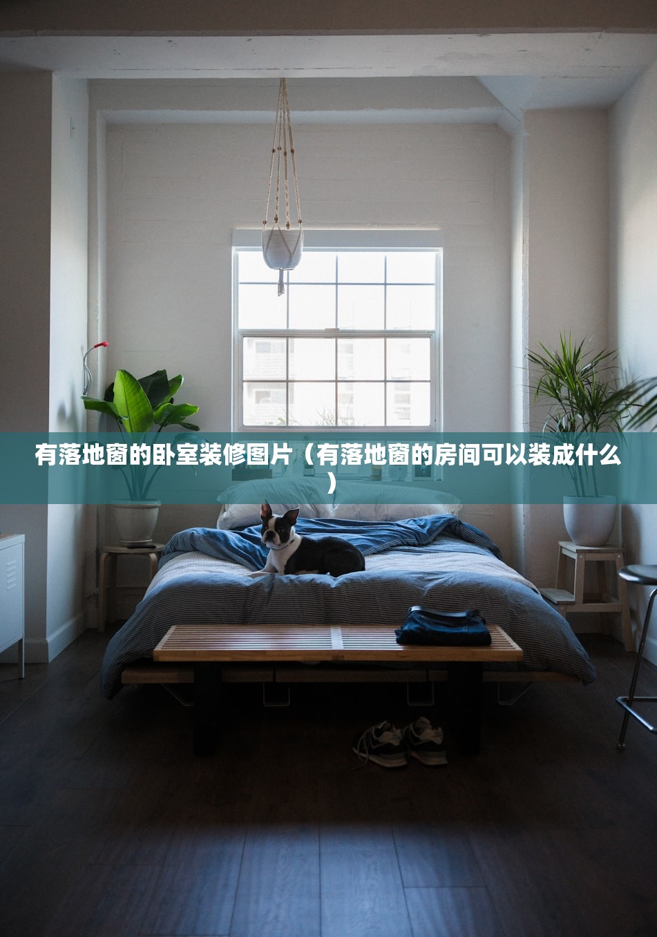 有落地窗的卧室装修图片（有落地窗的房间可以装成什么）