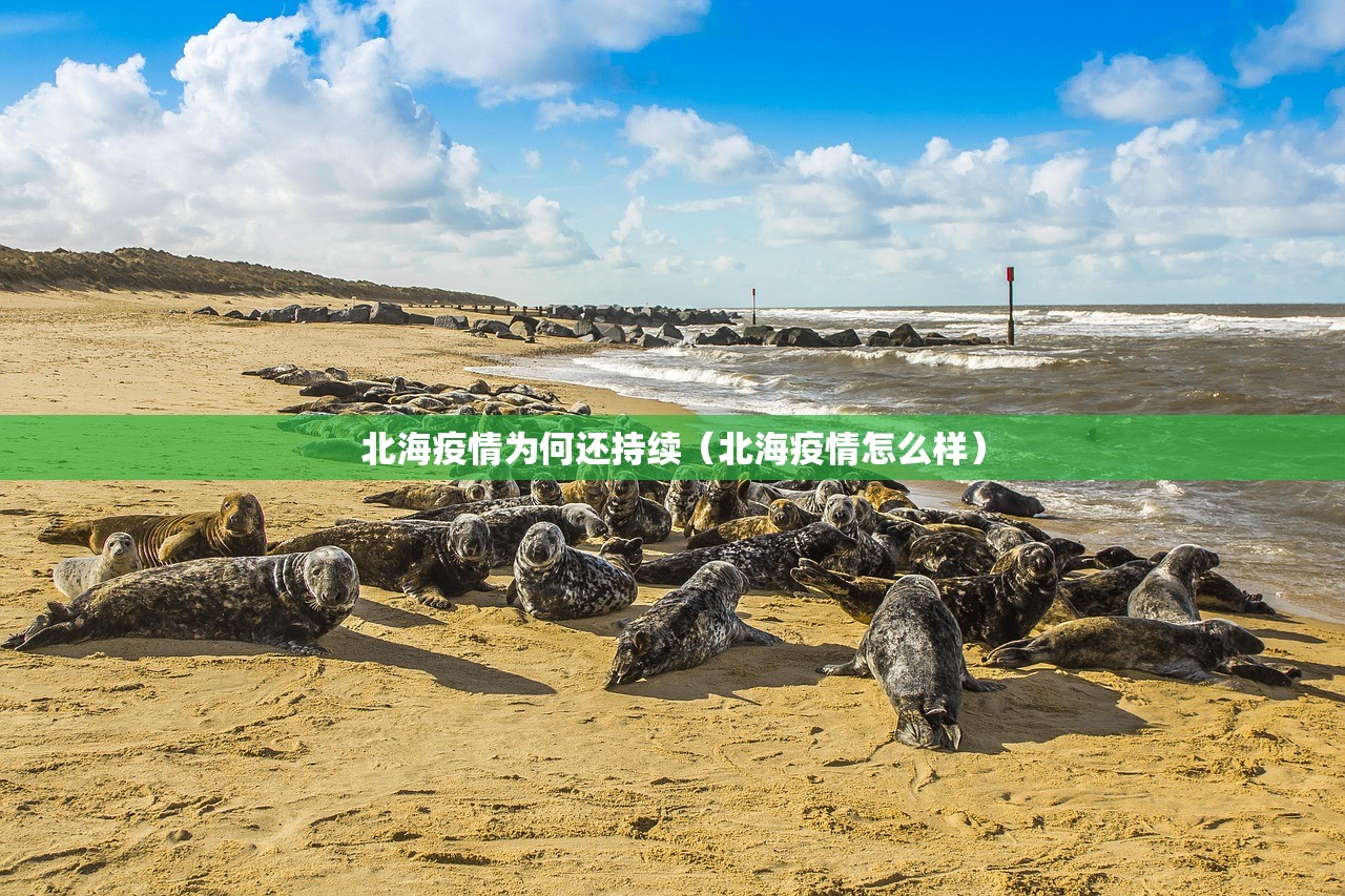 北海疫情为何还持续（北海疫情怎么样）