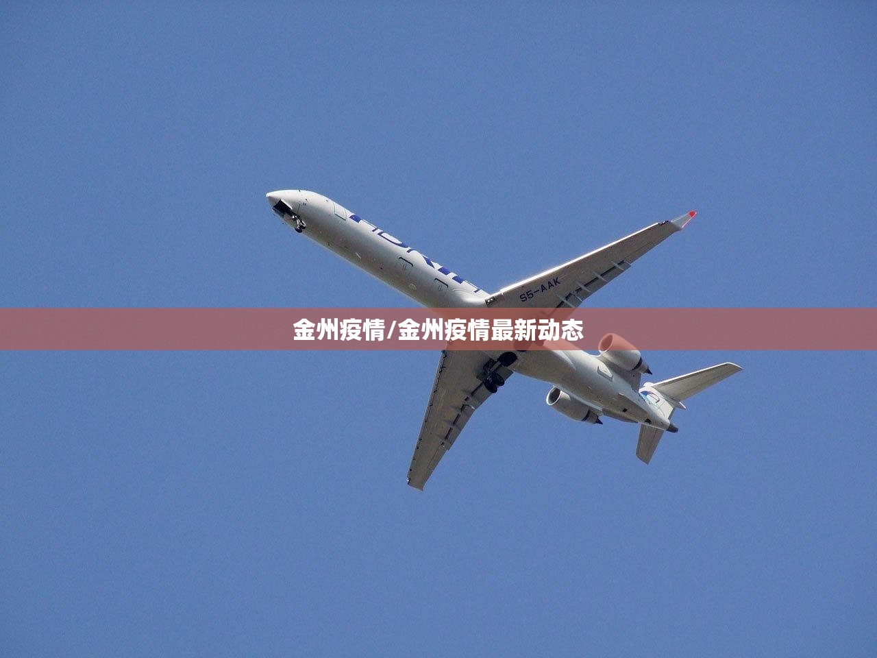 【大连近期感染者均集中在管控圈内,大连相关病例】