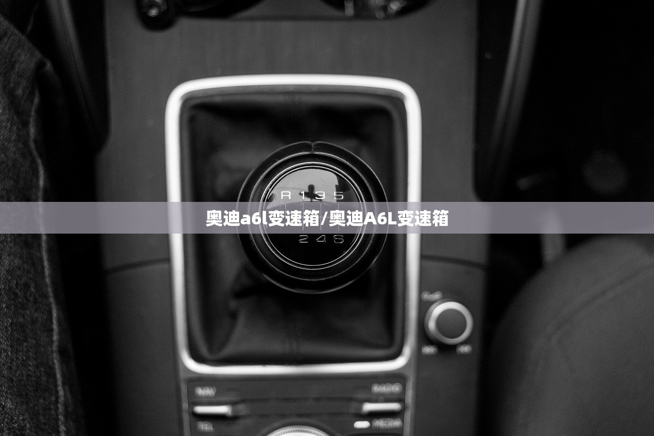 奥迪a6l变速箱/奥迪A6L变速箱