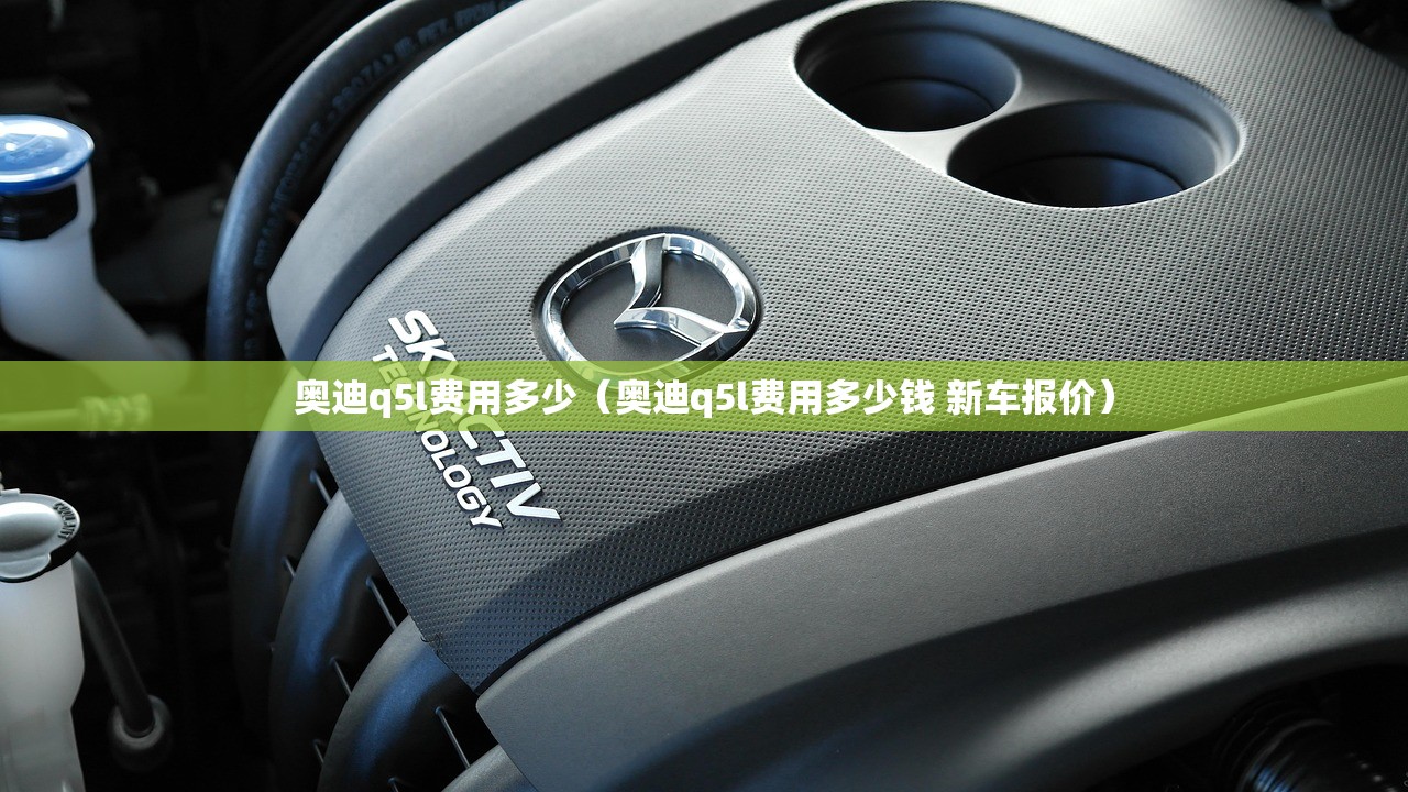 奥迪q5l费用多少（奥迪q5l费用多少钱 新车报价）
