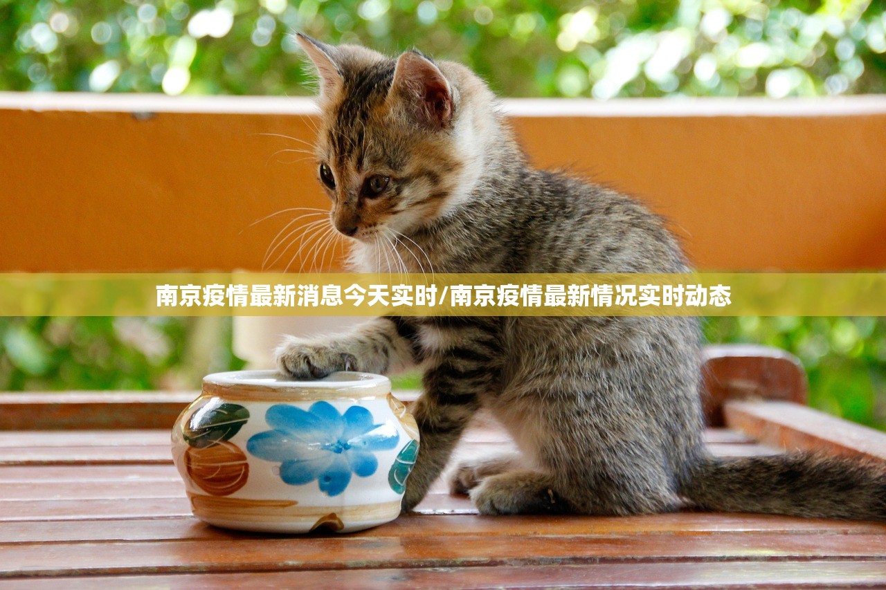 南京疫情最新消息今天实时/南京疫情最新情况实时动态