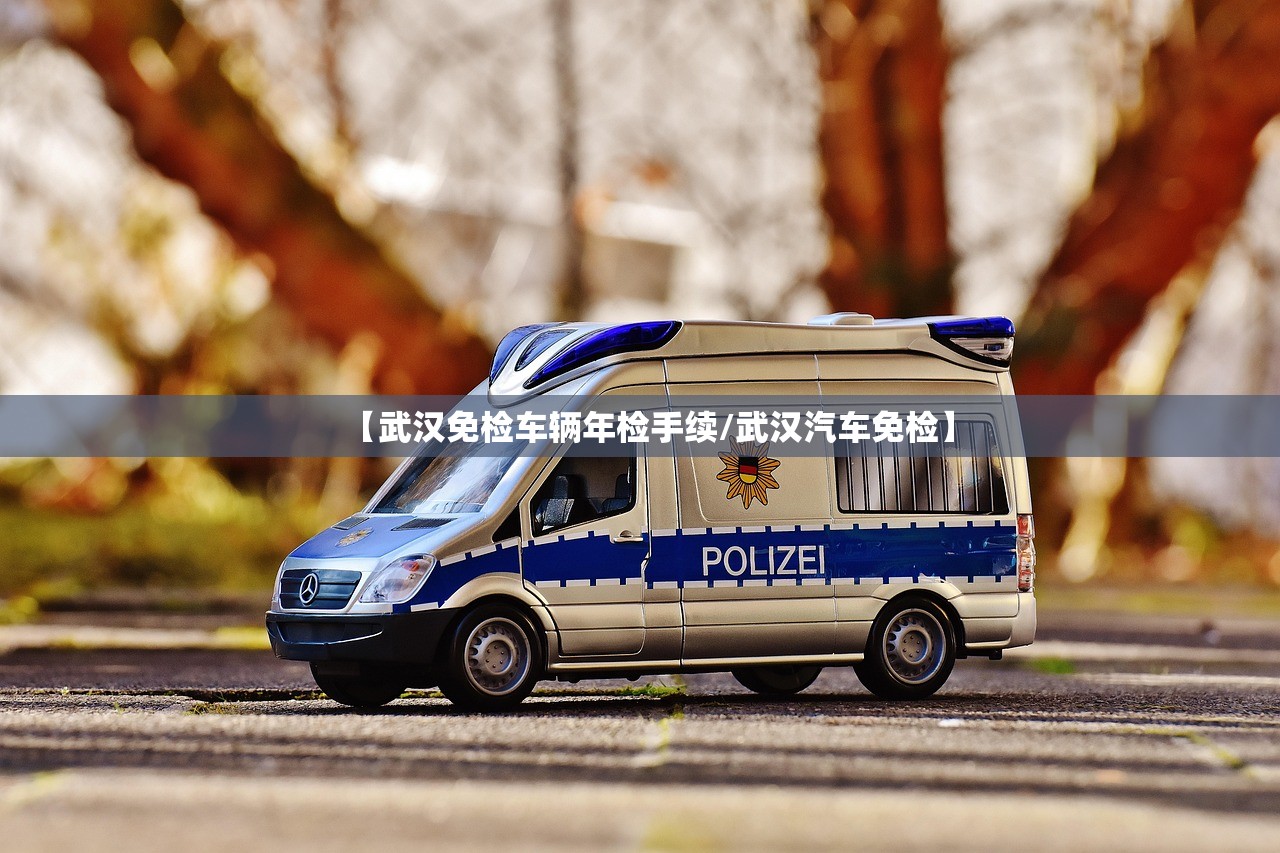 【武汉免检车辆年检手续/武汉汽车免检】
